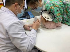 -派特宠物医院(圆融广场店)