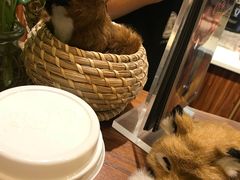 -狐狸家·酸奶酪专门店(平江路店)