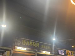 -杨合林啊兰烤鱼