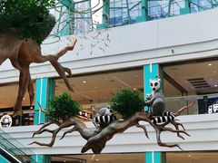 -大族广场Mall&More