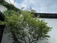 -南京市民俗博物馆(甘熙故居)