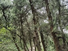 -金堂县云顶石城风景区