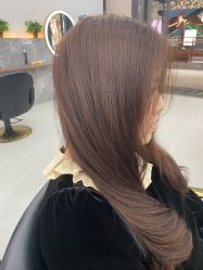 -世田造型