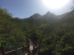-大连天门山国家森林公园