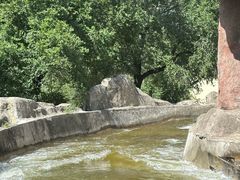 -哈尔滨文化公园