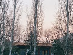 -元大都城垣遗址公园