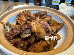 -灌顶姜母鸭(思明南路店)