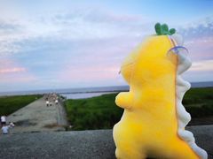 -南汇嘴观海公园