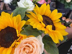 -循礼门鲜花花市(武汉循礼门店)