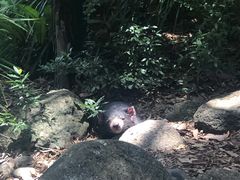 -可伦宾野生动物保护区