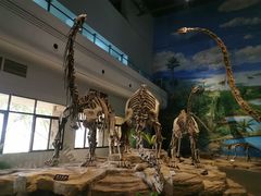 -自贡恐龙博物馆