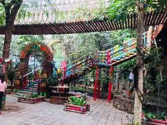 -呀路古热带植物园