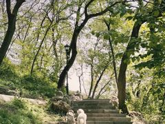 -句容茅山景区