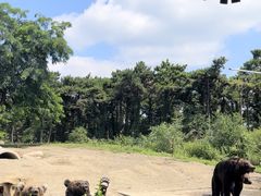 -沈阳森林动物园