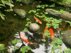 -园林美食城·本土农家菜(杨和镇店)