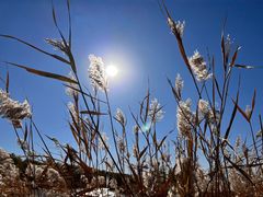 -野鸭湖国家湿地公园