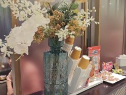 -云南吴氏嘉美医疗美容医院