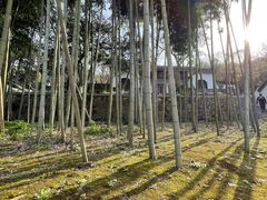-南山风景名胜区