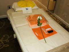 -爱的果实月嫂育婴师(世纪东方店)