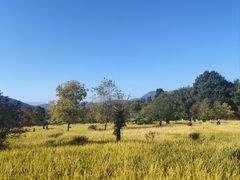 -塔川景区