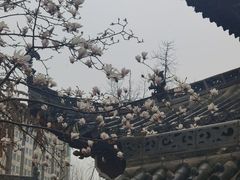-长春观