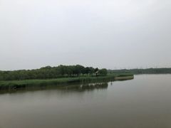 -西青郊野公园