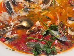 -坛宗剁椒鱼头(河西王府井店)