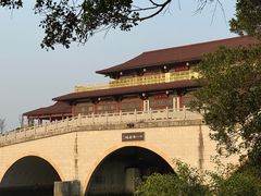 -大湾区中央湿地公园