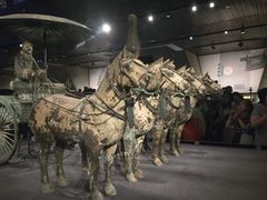 -秦始皇帝陵博物院-丽山园