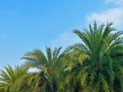-府河摄影公园
