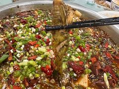 -葡萄园鱼庄(新津店)