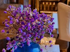 -长沙富力万达文华酒店