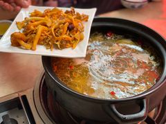 -蘑统田下·野生菌火锅