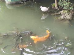 -钦善斋·养生膳食·精典川菜(武侯祠店)