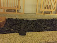 -热带雨林汗蒸馆(汶水东路店)