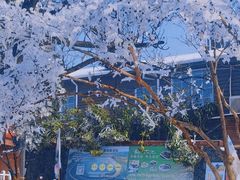 -江南天池高山汤泉城
