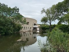 -新江湾城公园