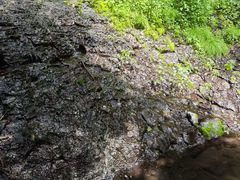 -黄椅山火山森林公园
