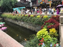 -豫园湖心亭茶楼