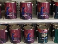 -立邦(三奇环渤海店)