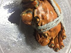 -丰满楼
