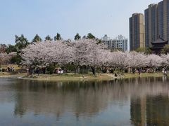 -堤角公园