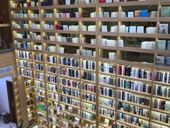 -艾溪湖湿地公园