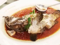 -龙悦湾酒家·八阵鱼生·渔人码头店