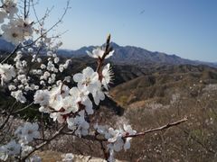 -蟠龙山长城景区