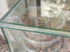 -洪记白水羊头(天坛店)