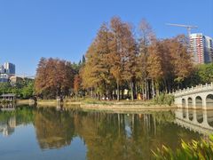 -四海公园(南山区)