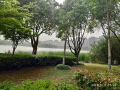 -南翔镇银翔湖公园