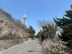 -富斯特索道
