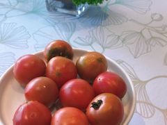 -青岛海景花园大酒店·白果树餐厅青岛菜